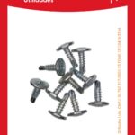 PARAFUSO AUTO BROCANTE 4,2X13 (10)